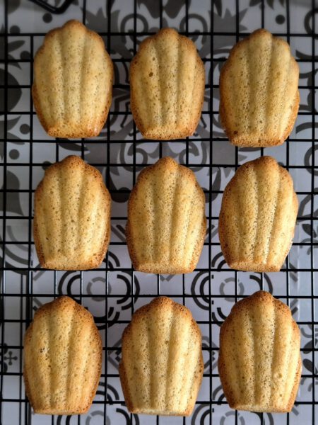 Kha-rins-keuken-Koolhydraatarm-Koolhydraatbeperkt-Minderkoolhydraten-Bewust-Madeleines