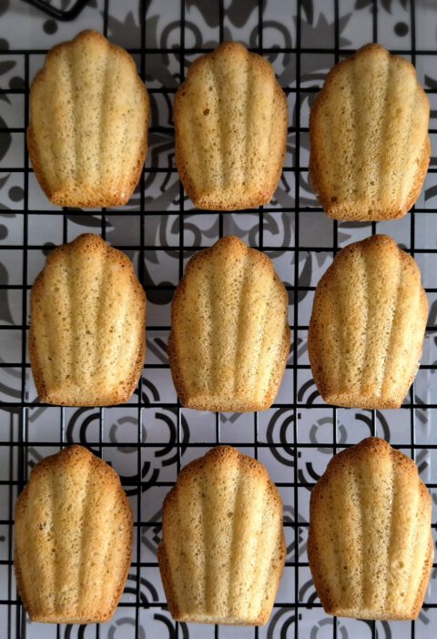 Kha-rins-keuken-Koolhydraatarm-Koolhydraatbeperkt-Minderkoolhydraten-Bewust-Madeleines