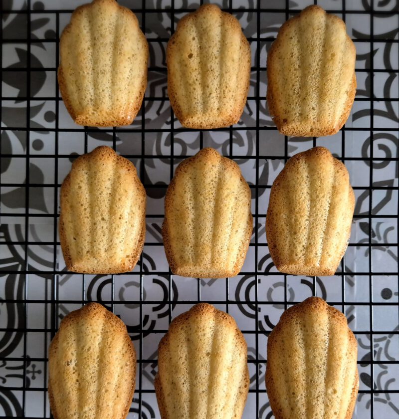 Kha-rins-keuken-Koolhydraatarm-Koolhydraatbeperkt-Minderkoolhydraten-Bewust-Madeleines