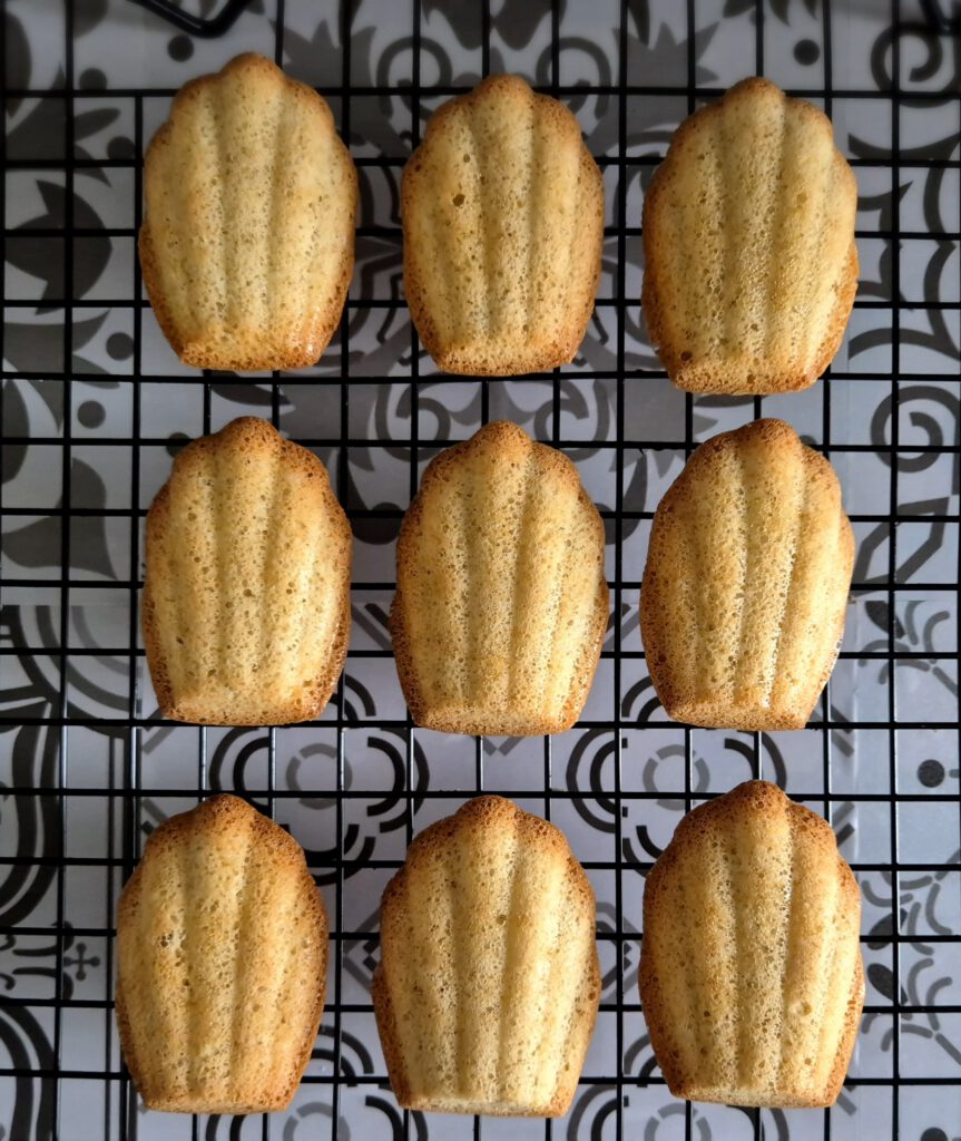 Kha-rins-keuken-Koolhydraatarm-Koolhydraatbeperkt-Minderkoolhydraten-Bewust-Madeleines